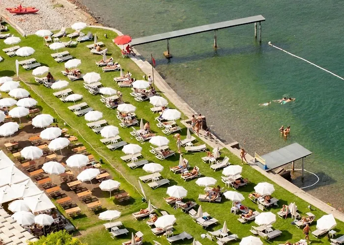 The Window On The Theatre And The Cathedral - Luxury *